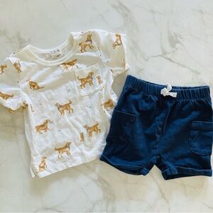 EUC Petit Lem 6M Dog Print T-Shirt and Navy Shorts Set